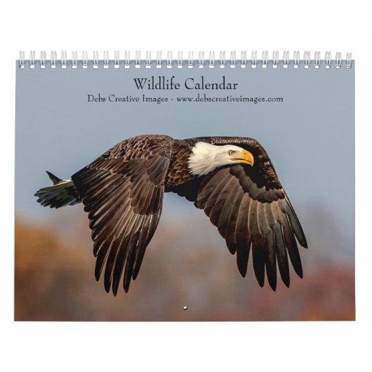 Wildlife 2026 kalender (Hoes)