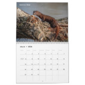 Wildlife 2026 kalender (Mar 2026)