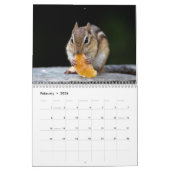 Wildlife 2026 kalender (Feb 2026)