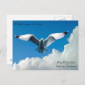 Wildlife afbeeldingen voor briefkaart (Voorkant / Achterkant)