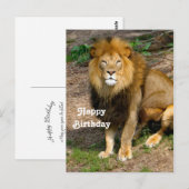 Wildlife Afrikaanse Leeuw Zittende Foto Verjaardag Briefkaart (Voorkant / Achterkant)