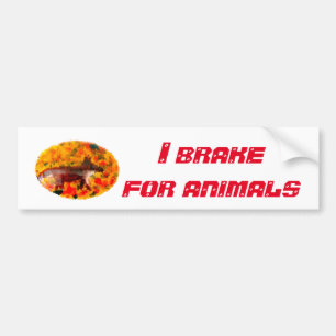 Wildlife Art Autumn Fox I Brake for Animals Bumpersticker