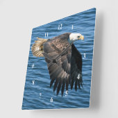 Wildlife Bald Eagle Foto Vierkante Klok (Hoek)