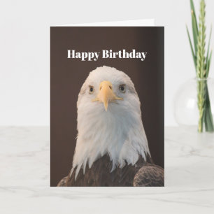 Wildlife Bald Eagle Portret Foto Verjaardag Kaart