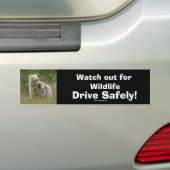 Wildlife Beren Dierenliefhebbers Design Bumpersticker (Op auto)