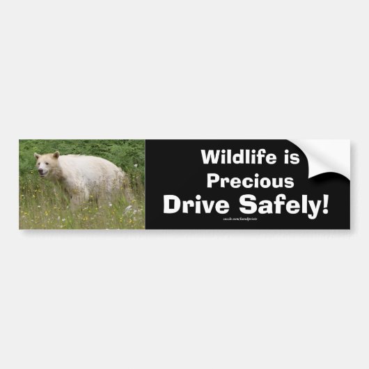 Wildlife Beren Dierenliefhebbers Design Bumpersticker (Voorkant)