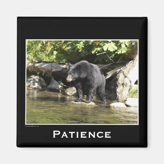 Wildlife Beren Dierenliefhebbers Design Magneet (Voorkant)