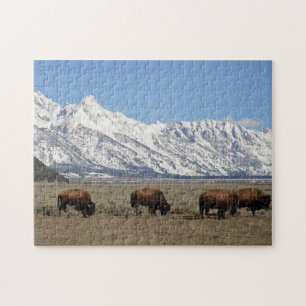 Wildlife Bison Mountains Legpuzzel
