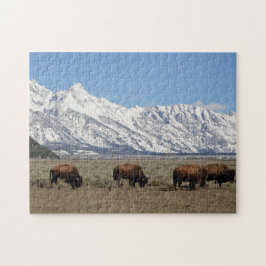 Wildlife Bison Mountains Sneeuwfoto Legpuzzel