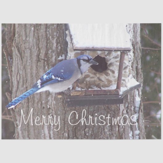 Wildlife Blue Jay kerstcadeautje Tissuepapier (Voorkant)