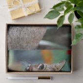 Wildlife Bobcat Photo Tissuepapier (Geschenk)