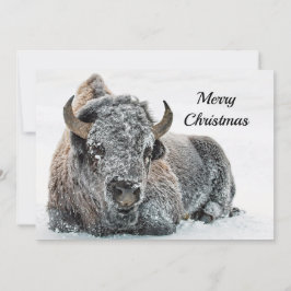 Wildlife Buffalo Sneeuw Foto Kerst Flat Feestdagenkaart