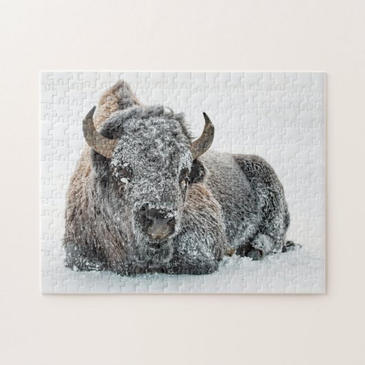 Wildlife Buffalo Sneeuwfoto Legpuzzel (Horizontaal)