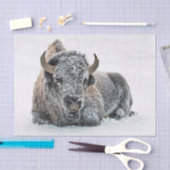 Wildlife Buffalo Sneeuwfoto Tissuepapier (Craft)