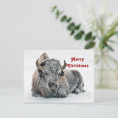 Wildlife Buffalo Sneeuwfotokerst Briefkaart (Staand voorkant)