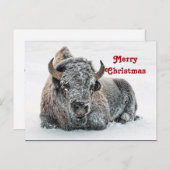 Wildlife Buffalo Sneeuwfotokerst Briefkaart (Voorkant / Achterkant)