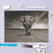 Wildlife Bull Elephant Photo Tissuepapier (Craft)