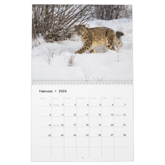 Wildlife Calendar Kalender (Feb 2026)