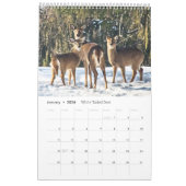 Wildlife Calendar Kalender (Jan 2026)