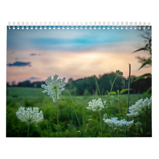 Wildlife Calendar Kalender (Hoes)