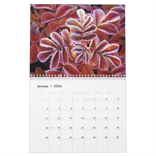 Wildlife Calendar Kalender (Jan 2026)