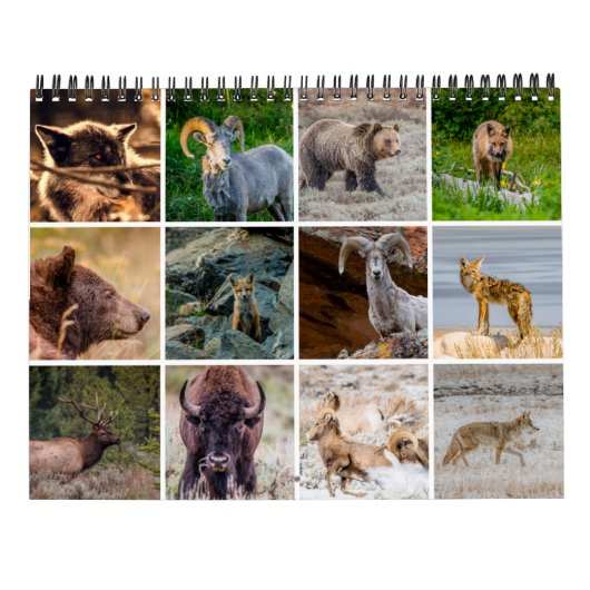 Wildlife Calendar Kalender (Achterkant)