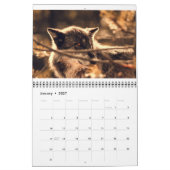 Wildlife Calendar Kalender (Jan 2027)