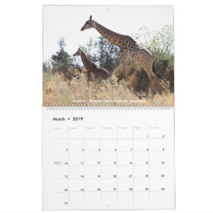 Wildlife Calendar Kalender