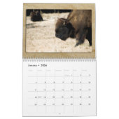 Wildlife Calendar Kalender (Jan 2026)