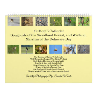Wildlife Calendar, Songbirds, Wild Birds  Kalender