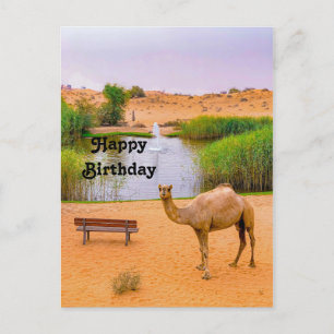 Wildlife Camel Oasis Foto Verjaardag Briefkaart