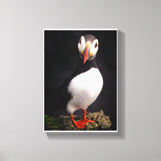Wildlife Canvas Afdruk