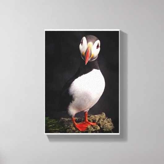 Wildlife Canvas Afdruk (Voorkant)