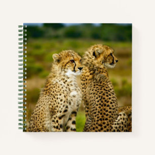Wildlife Cheetah Foto Notitieboek