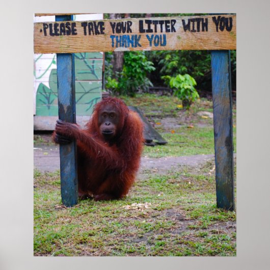 Wildlife Conservation/Litter and Trash Poster (Voorkant)