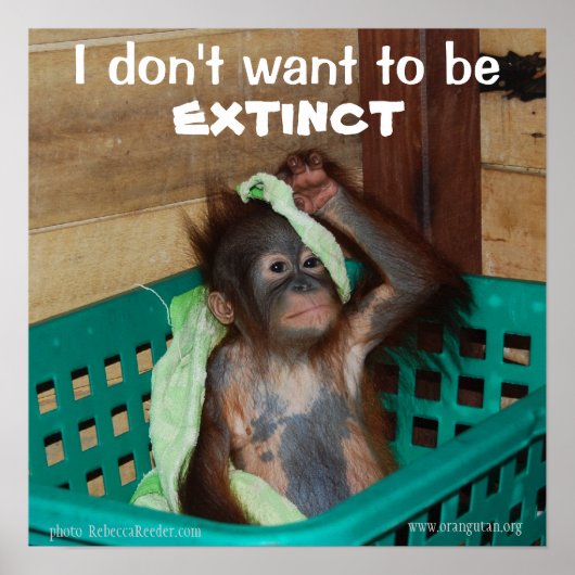 Wildlife Conservation Pouty Baby Poster (Voorkant)