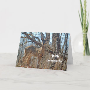 Wildlife Deer Bossen Foto Sympathy Kaart