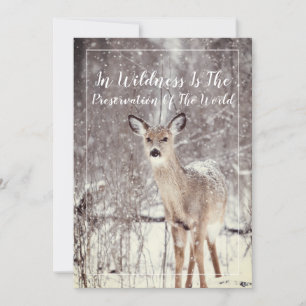 Wildlife Deer tijdens de wintervakantie Feestdagenkaart