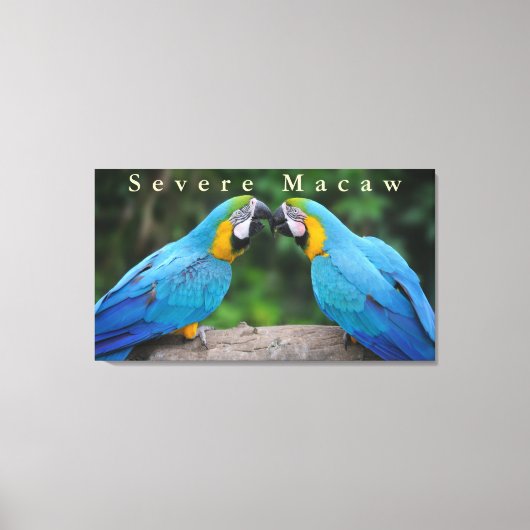 Wildlife Ernstige Macaw Zittend op een Tak Canvas Afdruk (Voorkant)