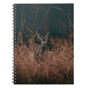 WILDLIFE-FOTOGRAFIE VAN GRAY-DEER, OVERGELEGD DOOR NOTITIEBOEK