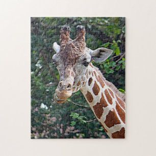 Wildlife Giraffe Foto Legpuzzel