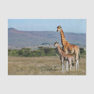 Wildlife Giraffe Moeder en Baby Foto Tissuepapier
