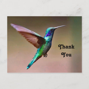 Wildlife Green Hummingbird Foto Dank u Briefkaart