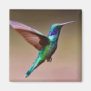 Wildlife Green Hummingbird Foto Magneet