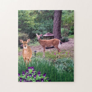 Wildlife Hinde Herten Foto Collage Legpuzzel