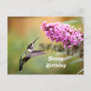 Wildlife Hummingbird Floral Foto Verjaardag Briefkaart