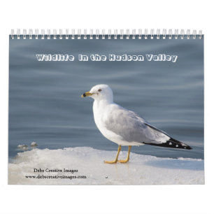 Wildlife in de Hudsonvallei 2025 Kalender