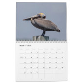 Wildlife in het zuidwesten van Florida 2026 Kalender (Mar 2026)