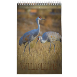 Wildlife Kalender