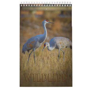 Wildlife Kalender
